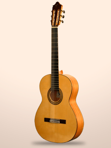 Guitarra Camps m5
