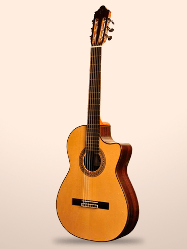 Guitarra camps m2000