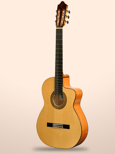 Guitarra Camps MC5