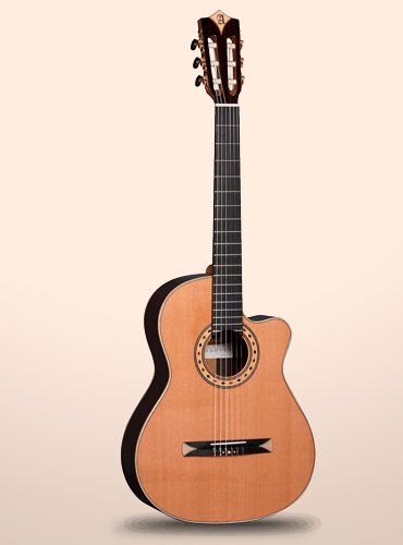 guitarra crossover alhambra CS3-CW E8