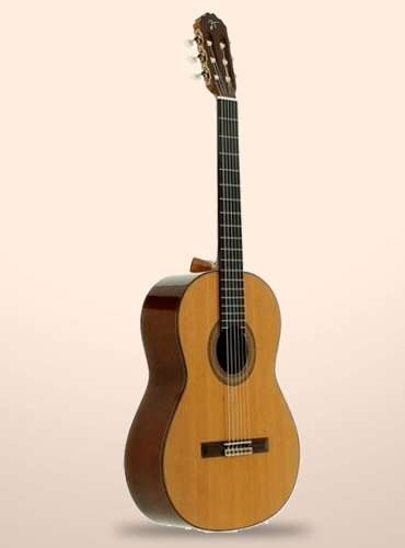 guitarra josé torres jtc-40
