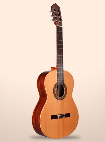 guitarra altamira n100+