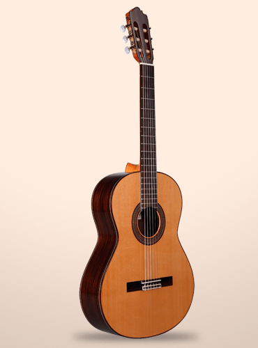 guitarra altamira n300+