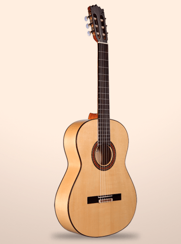 guitarra altamira n300f+