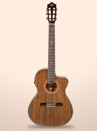 guitarra martínez mp-14 ov