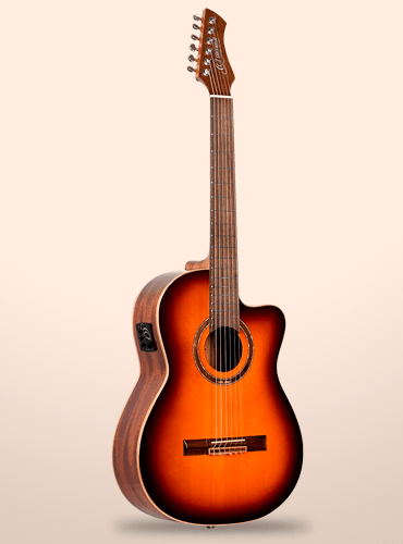 guitarra ortega rce238sn-ft