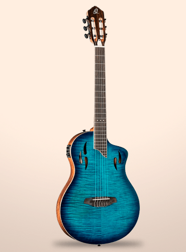 guitarra ortega rtpdlx-fma