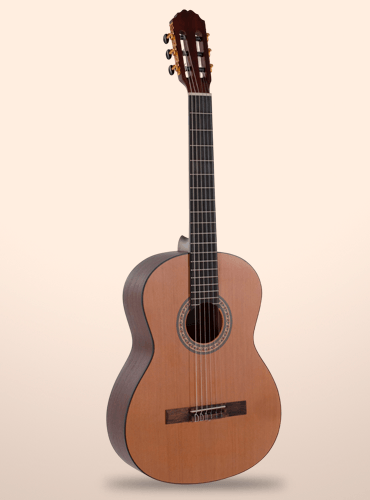 guitarra caballero by mr ca-cm